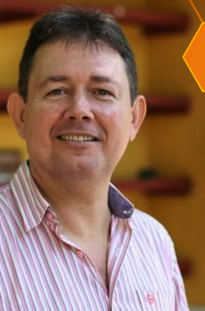 Capa - o cientista e as abelhas__