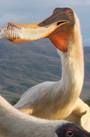 Capa Mundo dos Fósseis Bakiribu