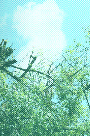 CAPA - ÁREAS VERDES - 6