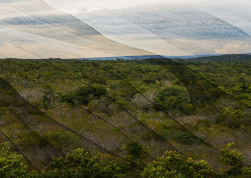 capa - recaatingar o Nordeste