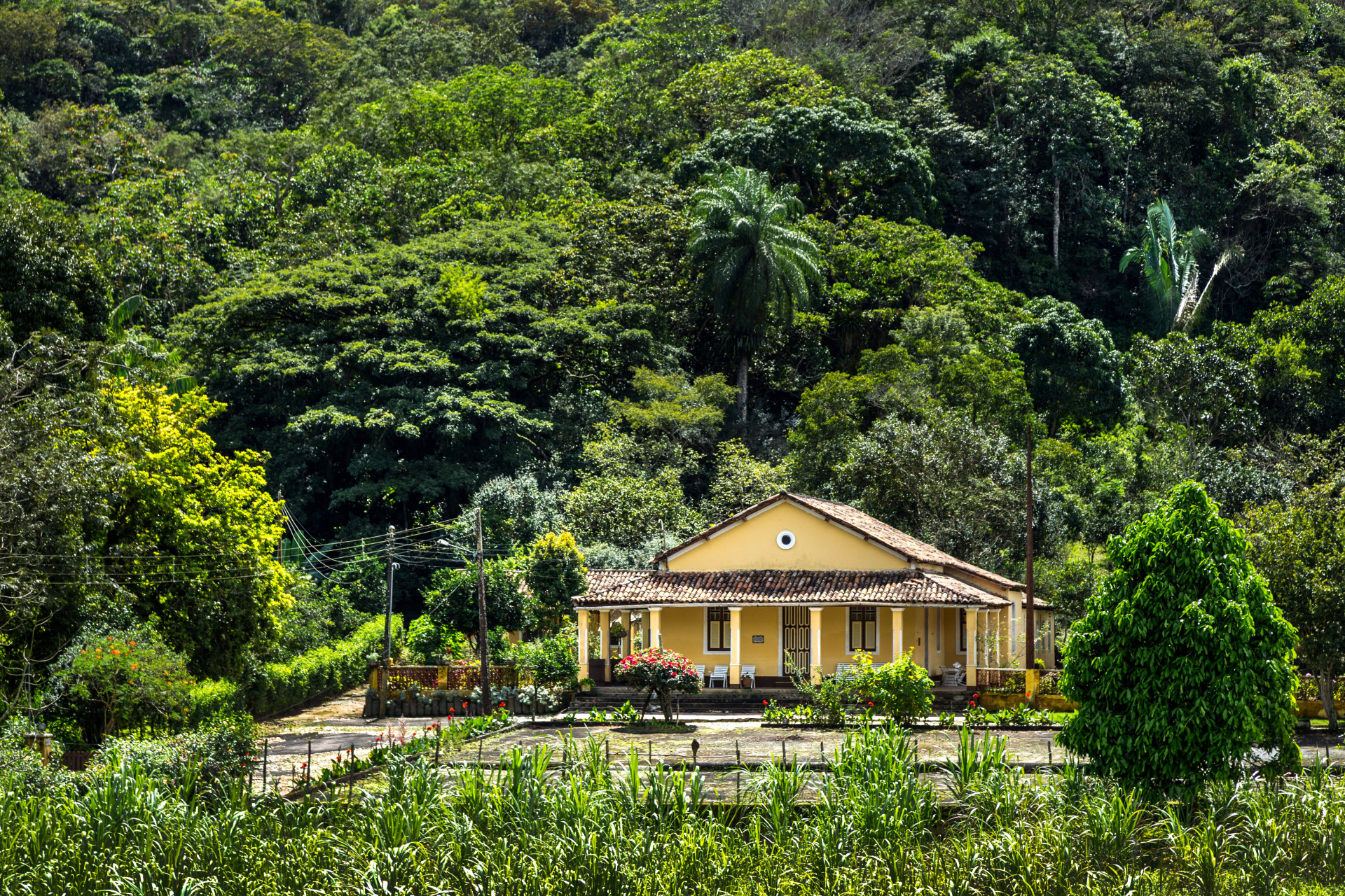 O centenário Sítio Brejo (Foto: Gentil Barreira)