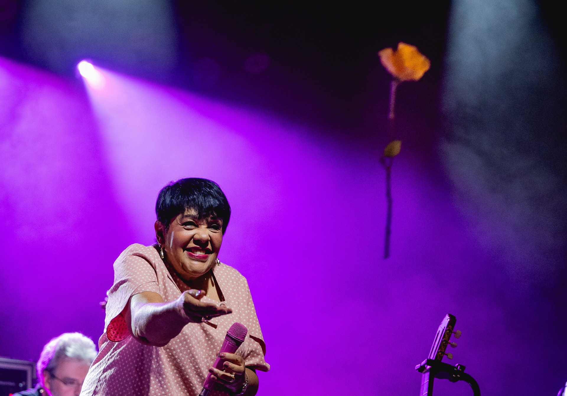Após anos dedicados ao mercado internacional, Rosa Passos agora quer descobrir o Brasil (Foto: Liliane Moreira/ Divulgação)