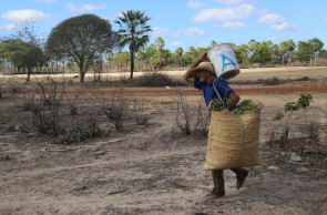 Uma das exposições no Museu de Arte da Universidade Federal do Ceará é a mostra 
