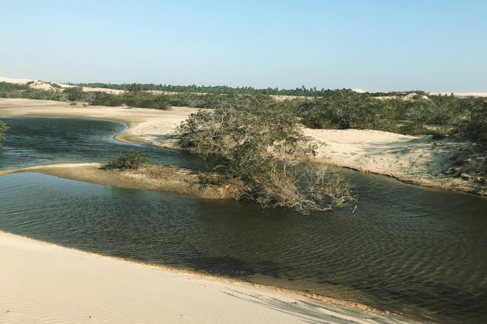 Considerados ber&ccedil;&aacute;rios fundamentais para a vida marinha, os manguezais de Tatajuba servem como s&iacute;tio de reprodu&ccedil;&atilde;o para diversas esp&eacute;cies e local de descanso para aves migrat&oacute;rias(Foto: Reprodu&ccedil;&atilde;o/Facebook/Casa Santa Maria Tatajuba)