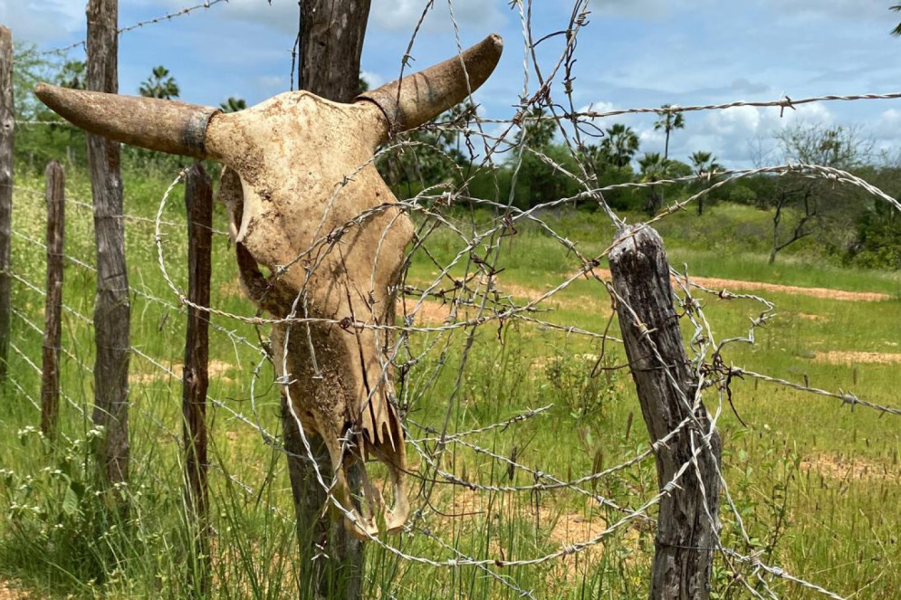 Uma descri&ccedil;&atilde;o da imagem