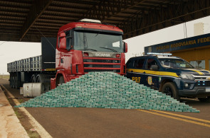 Estreiam no Discovery e na HBO Max nesta quarta-feira, 4, os três primeiros episódios da quinta temporada da série 