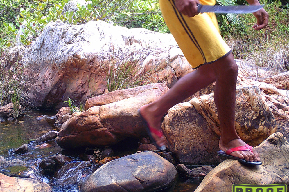 Pernas de um homem com fac&atilde;o (provavelmente um ca&ccedil;ador) capturadas por uma armadilha fotogr&aacute;fica(Foto: Thieres Pinto)