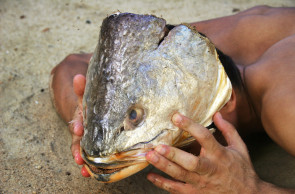 Está disponível na Pinacoteca do Ceará até abril a exposição 