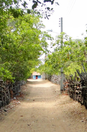 A assistente social Andréa Camurça é coordenadora de incidência política do Instituto Terramar, uma OSC de caráter socioambiental que contribui para a justiça ambiental na zona costeira do Ceará