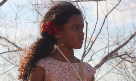 O diretor Rogério Sagui estreia com 'Rosa Tirana'