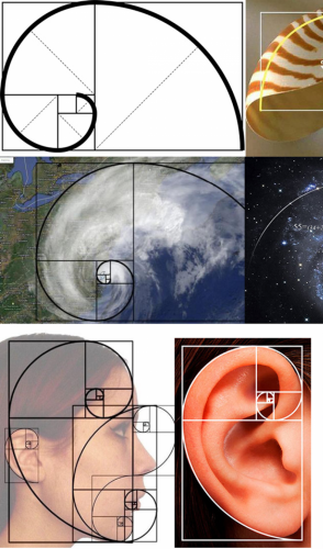 Para chegar até ela, diversos cálculos foram criados, com o mais famoso sendo a Sequência de Fibonacci.