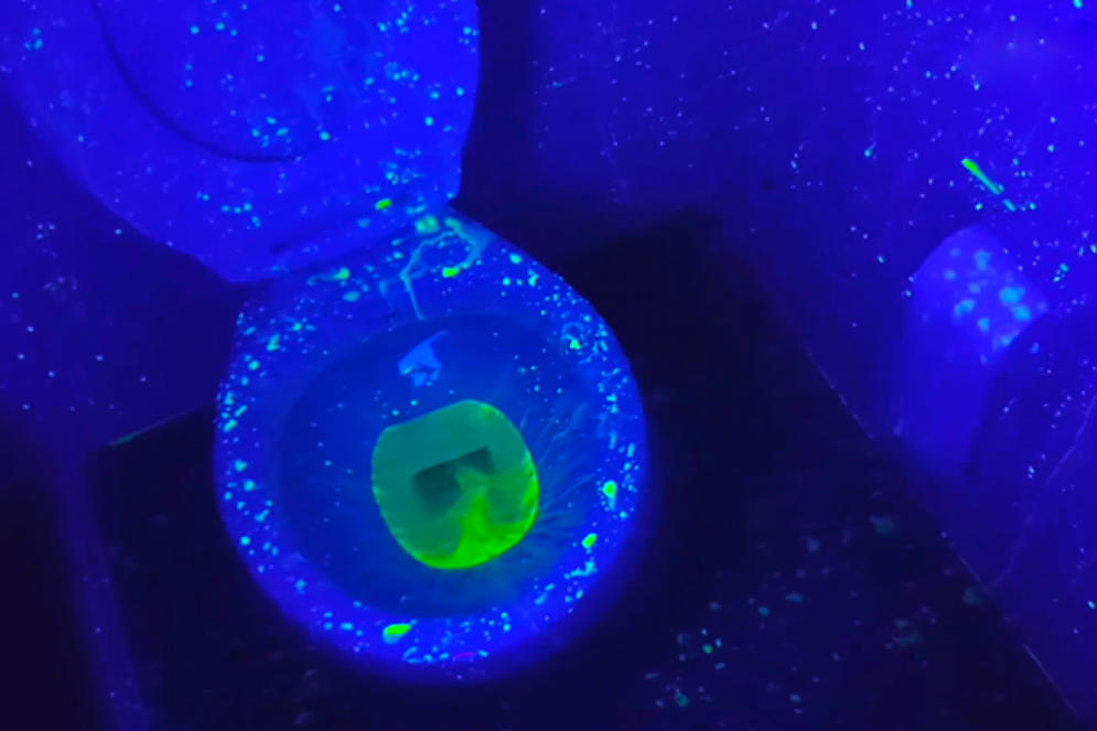 Sempre dê a descarga com a tampa do vaso sanitário fechada