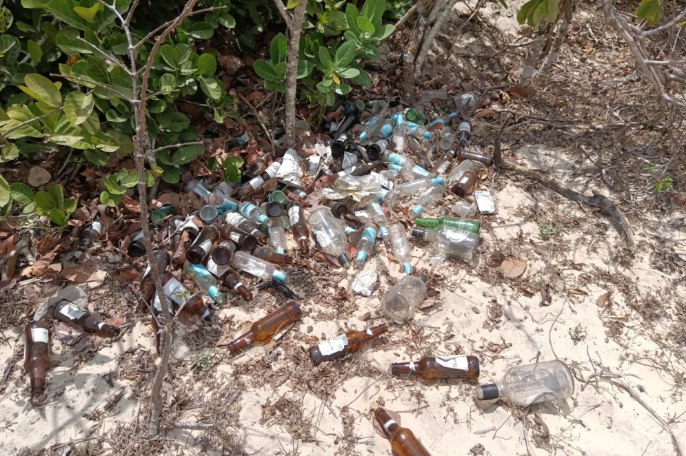 Garrafas descartadas irregularmente em mangue de Tatajuba(Foto: Acervo pessoal/Fonte an&ocirc;nima)